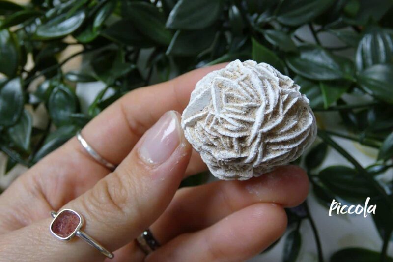 SELENITE ROSA DEL DESERTO NATURALE 2