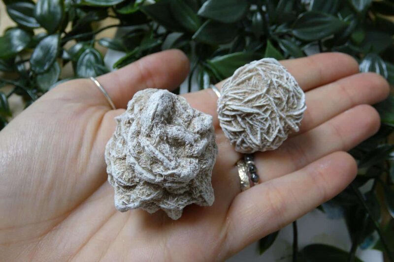 SELENITE ROSA DEL DESERTO NATURALE