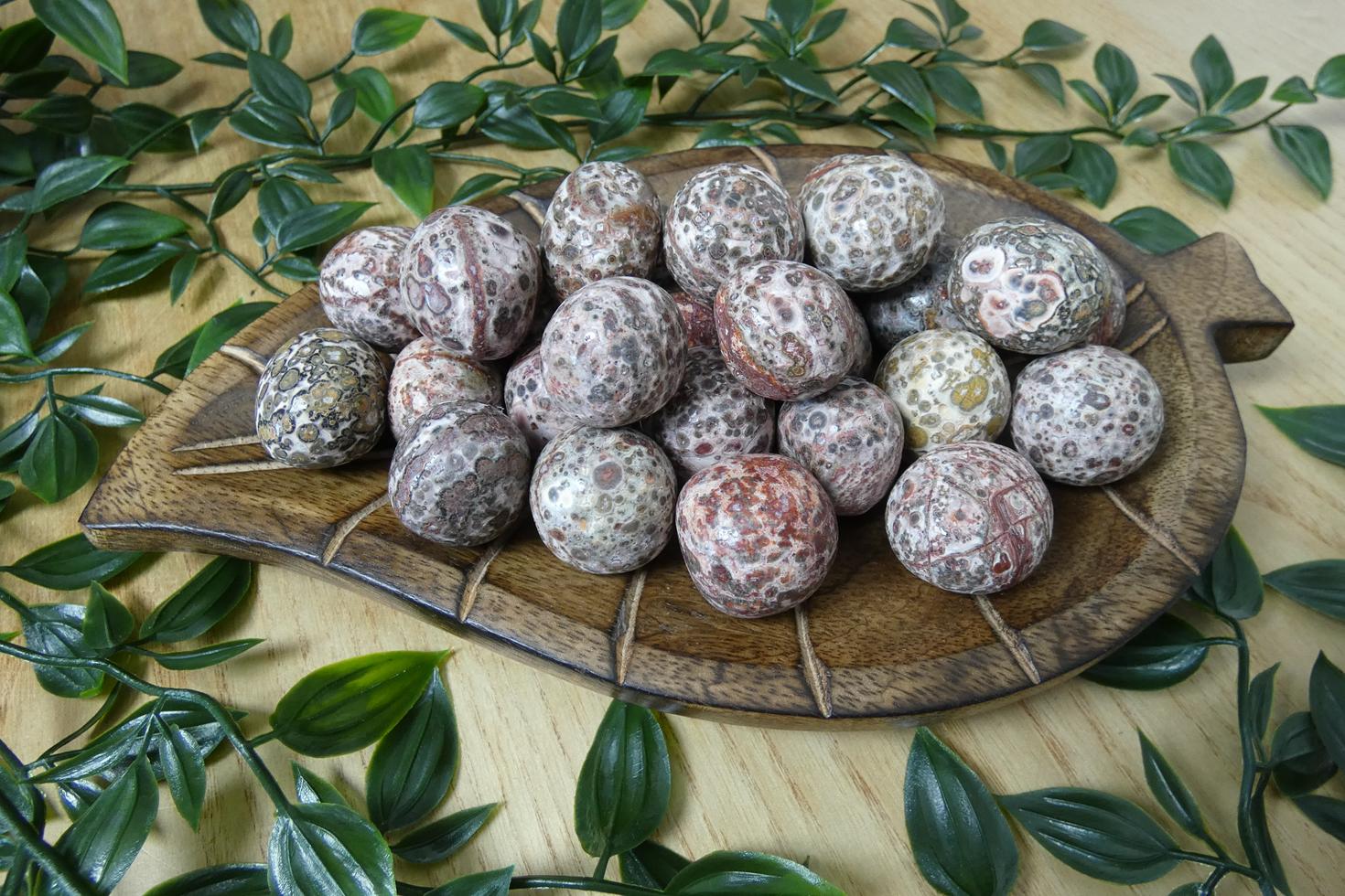 DIASPRO LEOPARDO BURATTATO