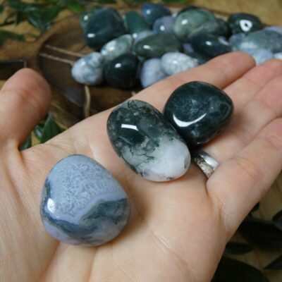 AGATA MUSCHIATA BURATTATA 00