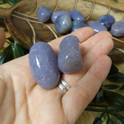 AGATA UVA BURATTATA 00