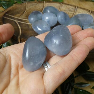 CELESTINA BURATTATA 00