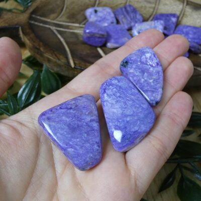 CIAROITE BURATTATA QUALITA AAA 00