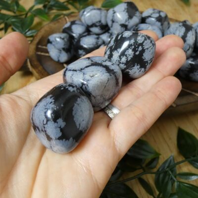 OSSIDIANA FIOCCO DI NEVE BURATTATA 00