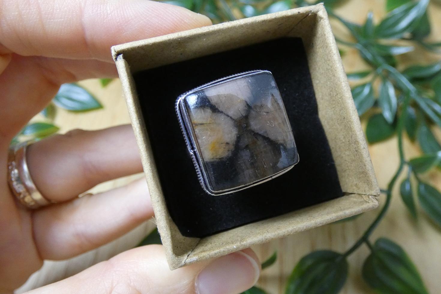 ANELLO IN CHIASTOLITE 2