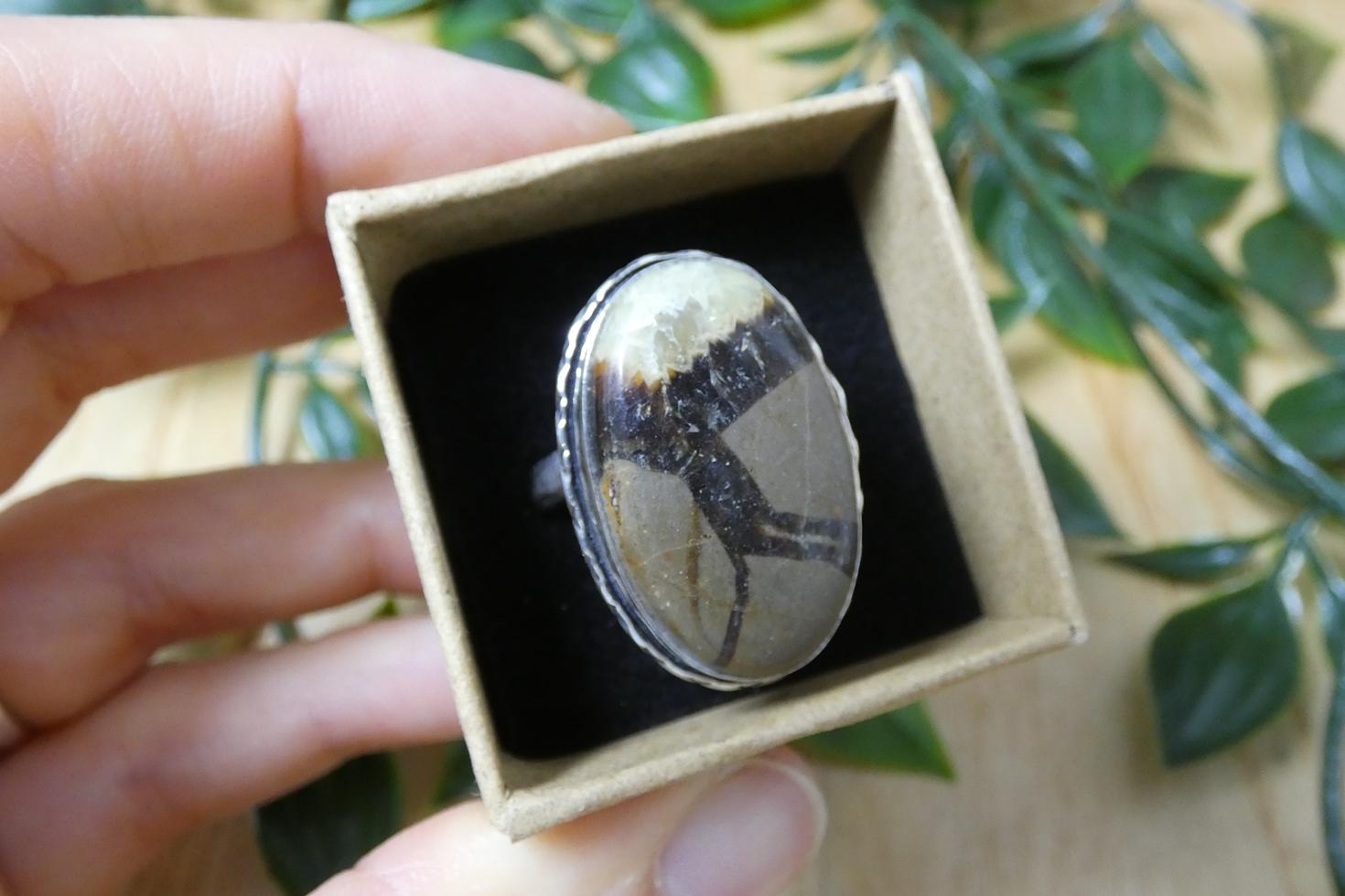 ANELLO IN SEPTARIA 1