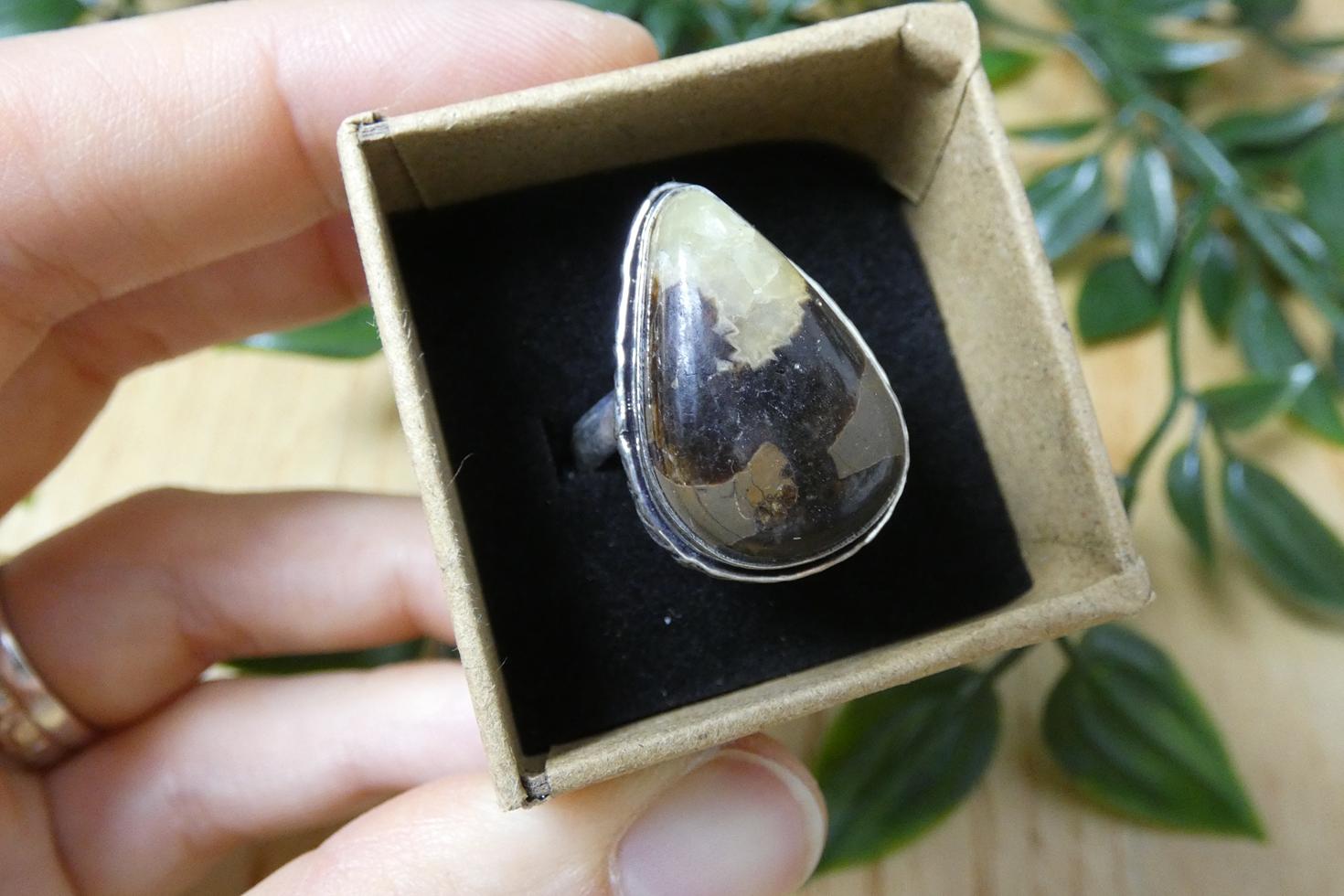 ANELLO IN SEPTARIA 4