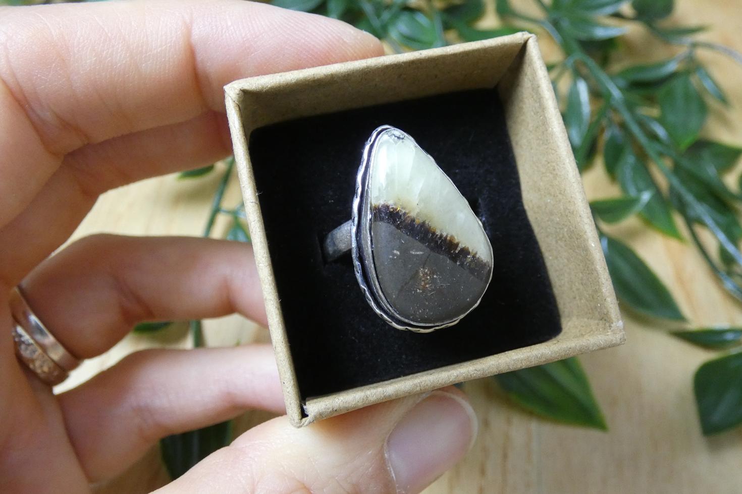 ANELLO IN SEPTARIA 5