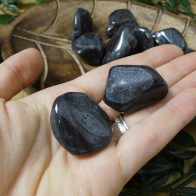 ANCESTRALITE BURATTATA QUALITA AA 0