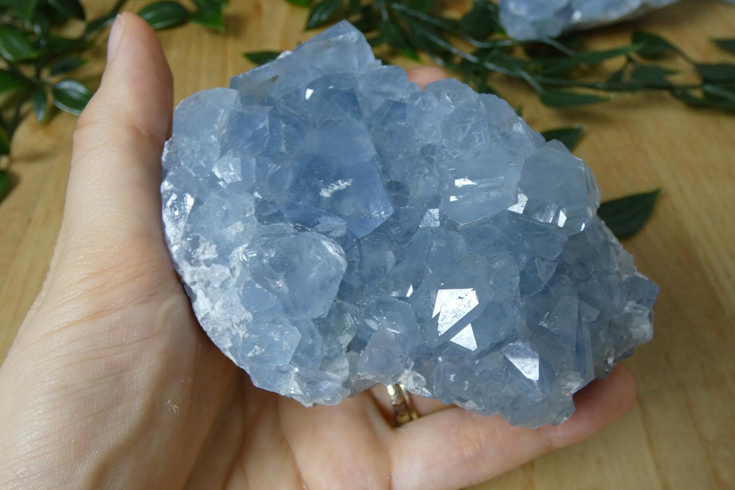 DRUSA DI CELESTINA 2