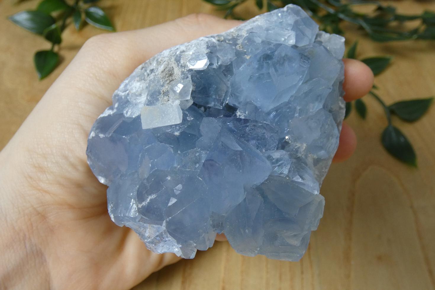 DRUSA DI CELESTINA 5