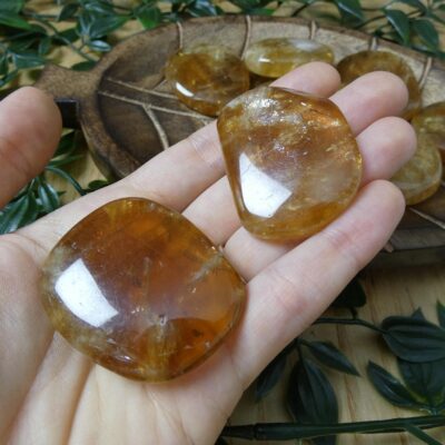 PALMSTONE IN ARAGONITE 0