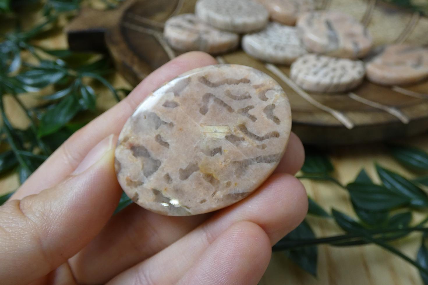 PALMSTONE IN PIETRA DI LUNA 0