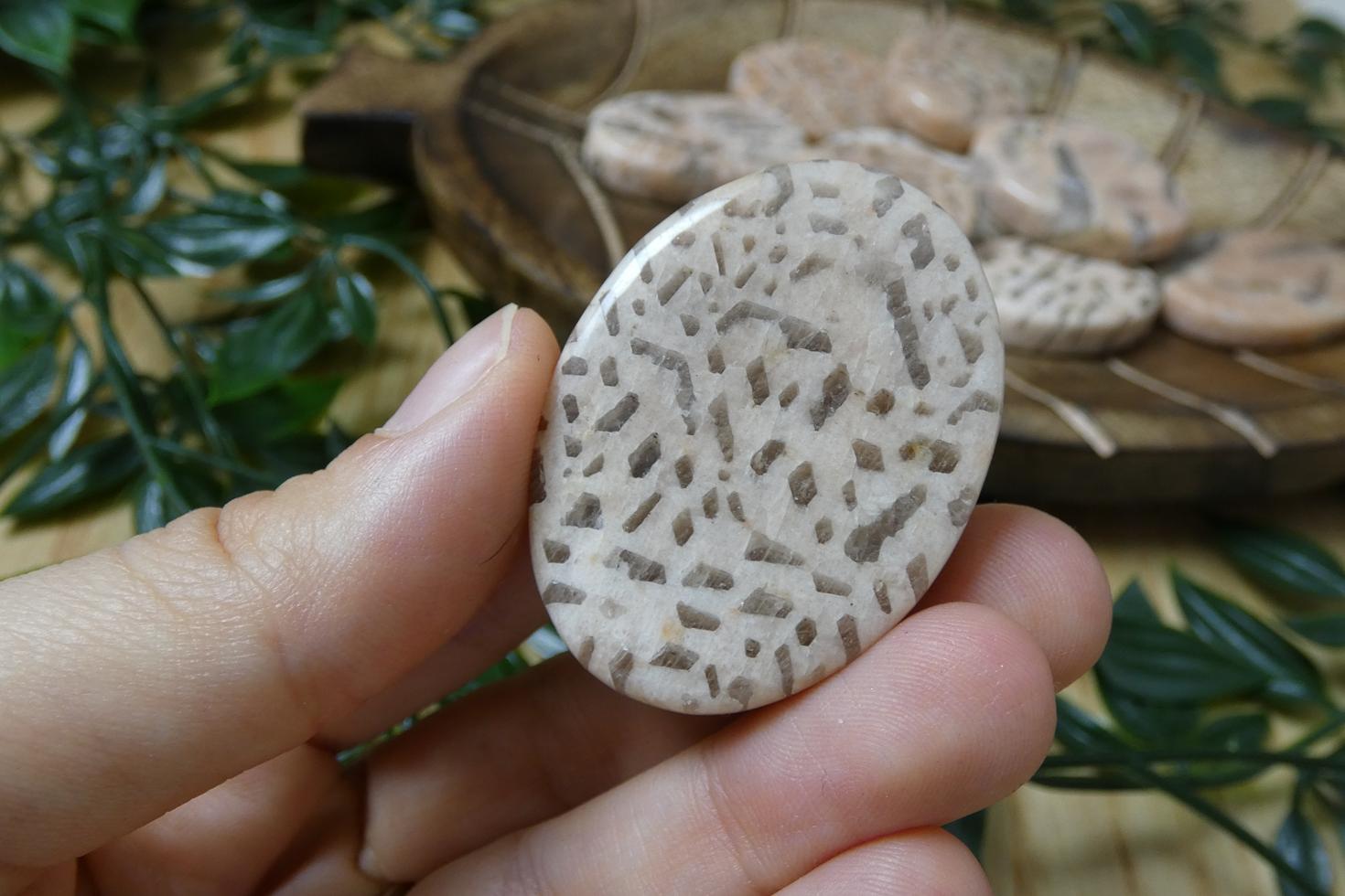 PALMSTONE IN PIETRA DI LUNA 1